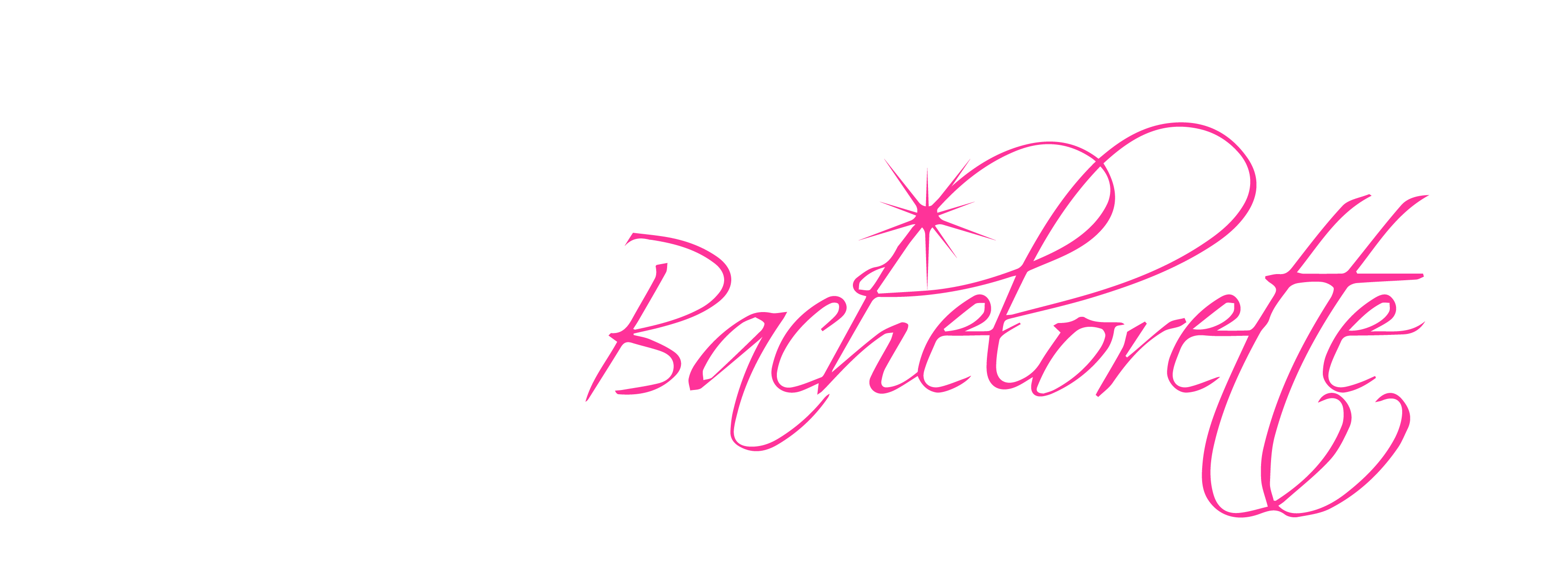 VIP Bachelorette | Chicago Bachelorette Party Planners