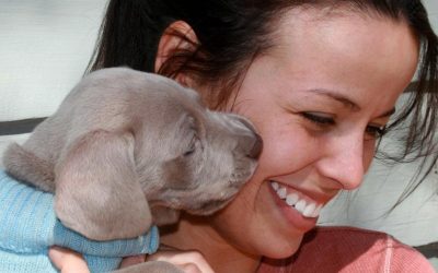 Is a Puppy an Acceptable Gift for a Bride-to-Be?